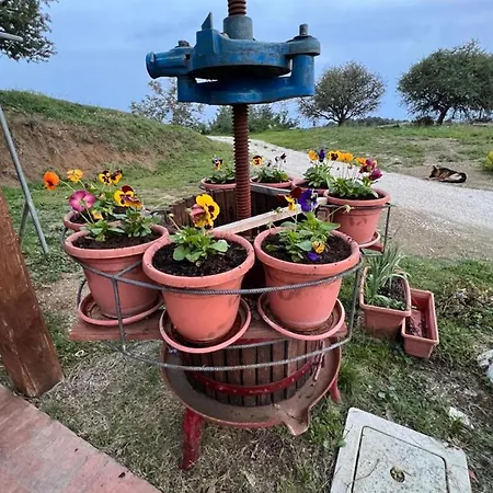 Bed & Breakfast Il Tramonto *