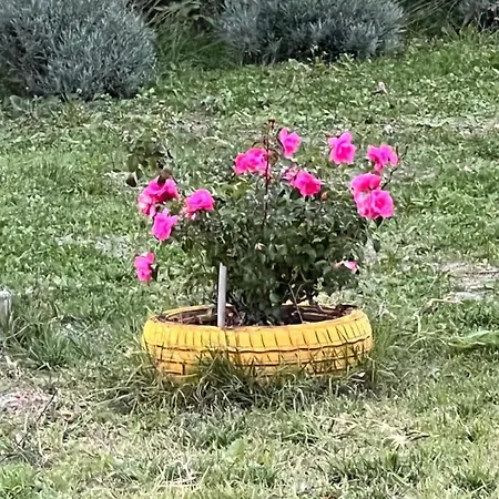 Bed & Breakfast Il Tramonto *
